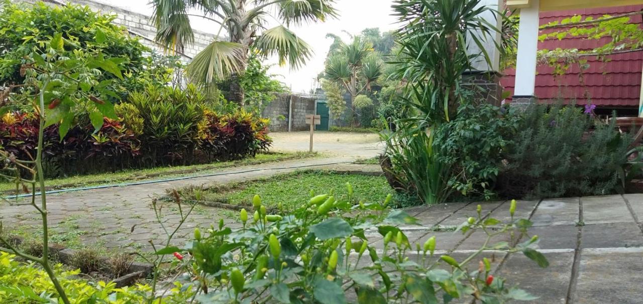 Bliss Family Cottage Batu Batu  Extérieur photo